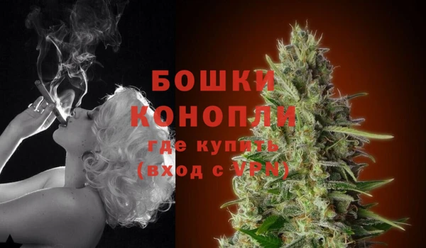 крисы Володарск