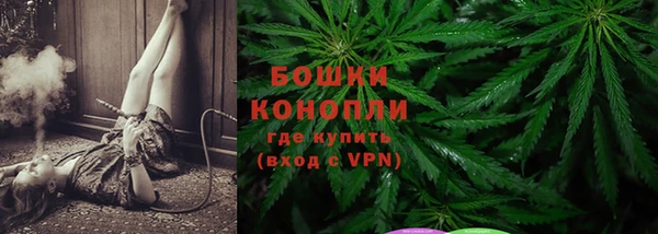 крисы Володарск